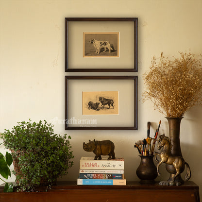 Dogs- Playful Encounter – Schipperke Study, Antique Book Plate (Wildlife Art)- Photogravure Print