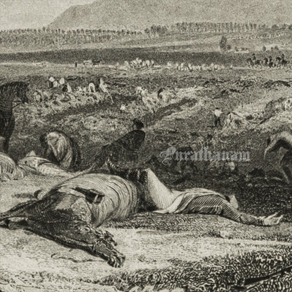 Culloden Moor, Looking across the Moray Firth -Steel Engraving