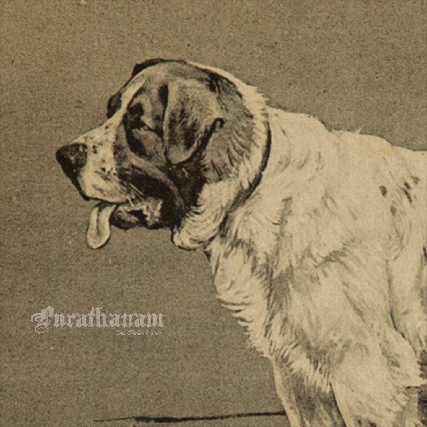 The Watchful Dog (Wildlife Art)- Photogravure Print