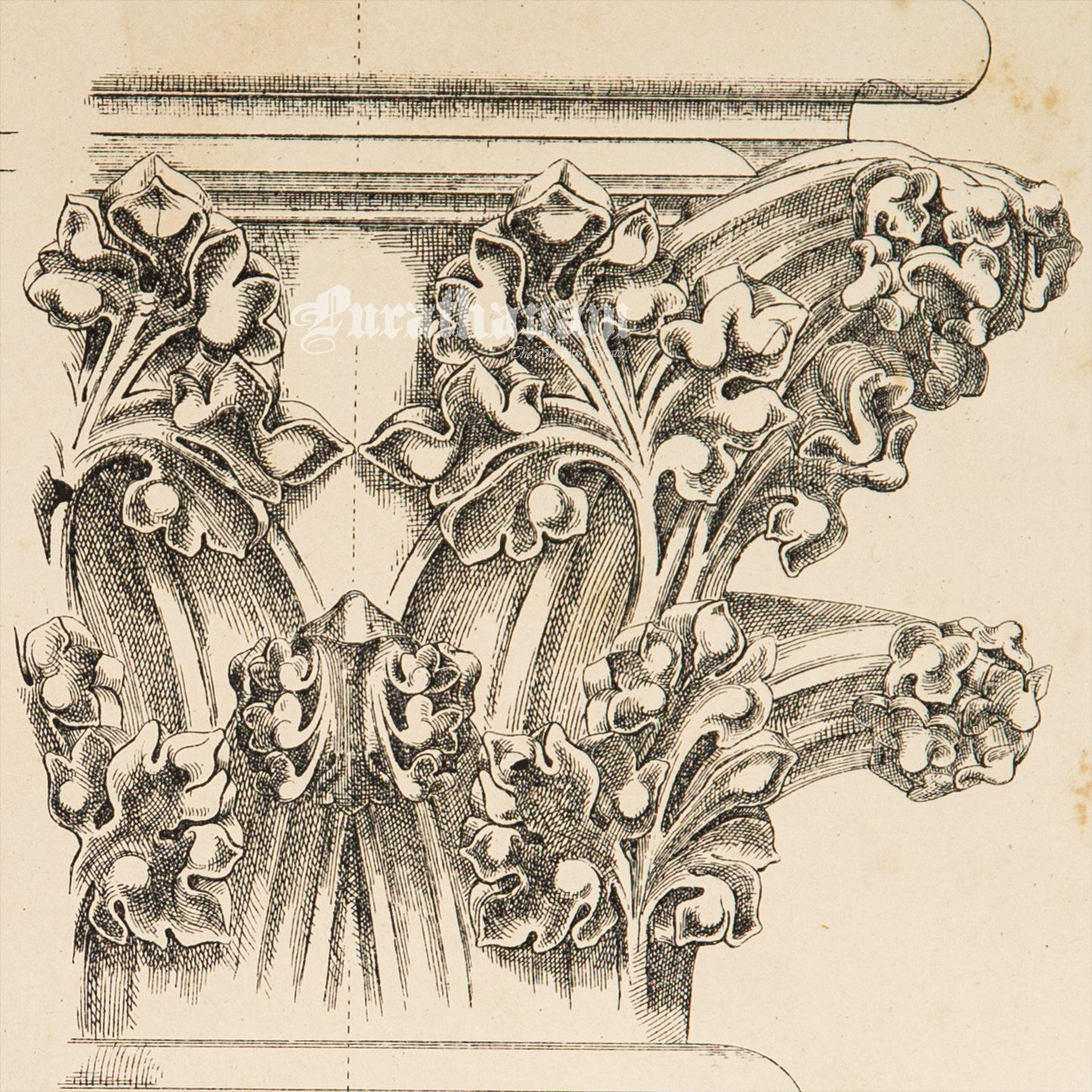 Medieval Architecture & Art-Auxerre - Plate 13 (Capitals of arcading Lady Chapel and Choir Aisle) -Steel Engraving