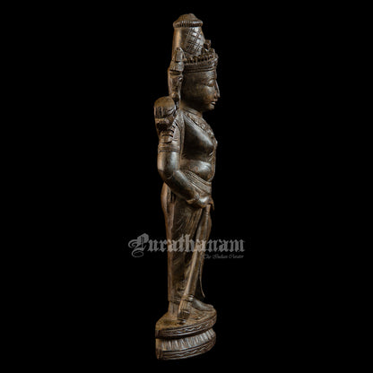 Ram - Red Sanders wood sculpture