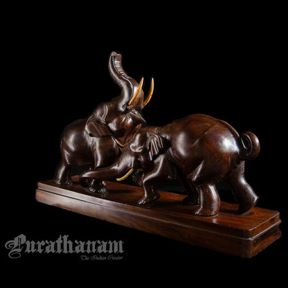 Elephants - Rose wood
