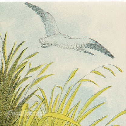 Bird - Chromo lithograph print (Plate - LI) by Theodore Jasper -  Bird Art / Avian Art