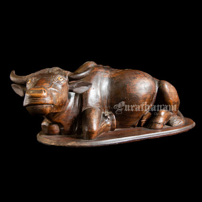 Seated  Buffalo - Rose wood Sculpture