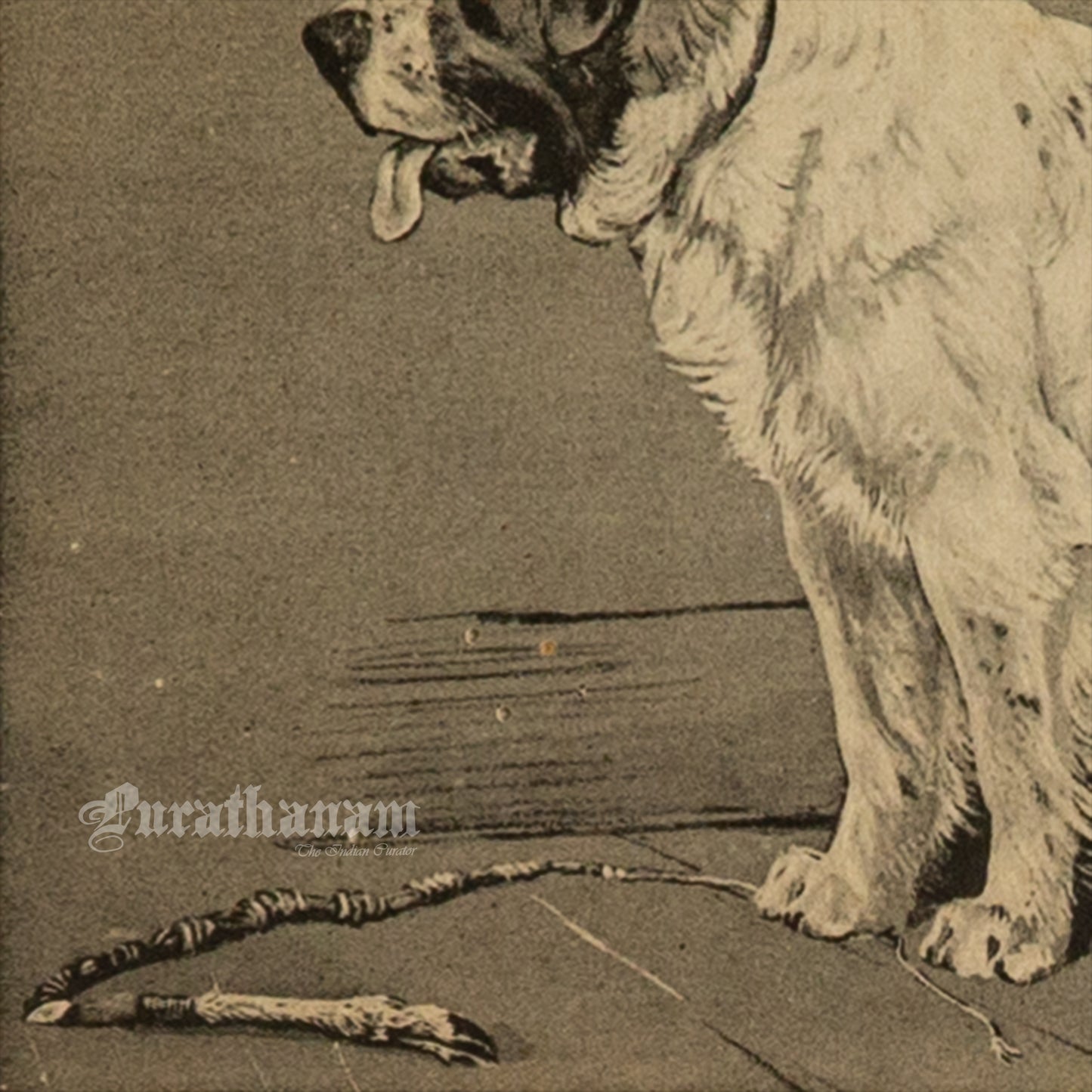 The Watchful Dog (Wildlife Art)- Photogravure Print