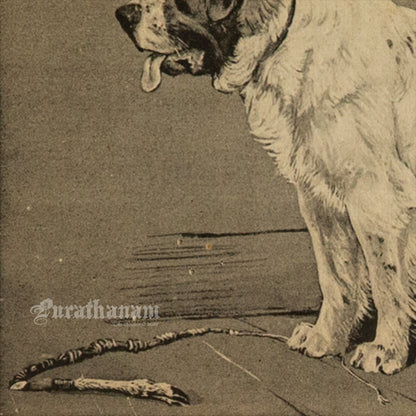 The Watchful Dog (Wildlife Art)- Photogravure Print