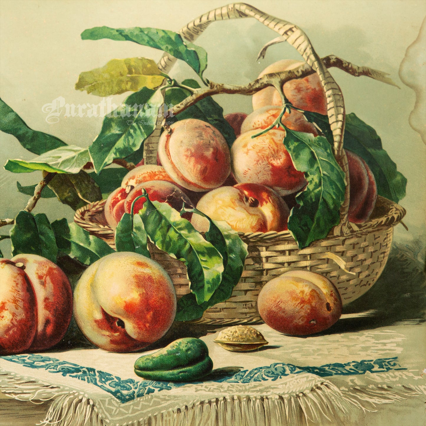 Bowl of Peaches by Francesca Alexander - Chromolithograph Print