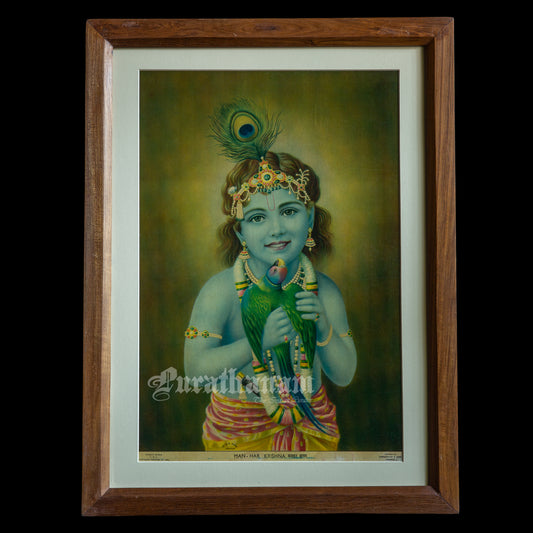 Man-Har-Krishna (Oleograph Print)