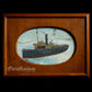 Empire Palm-Ship-Watercolor Painting