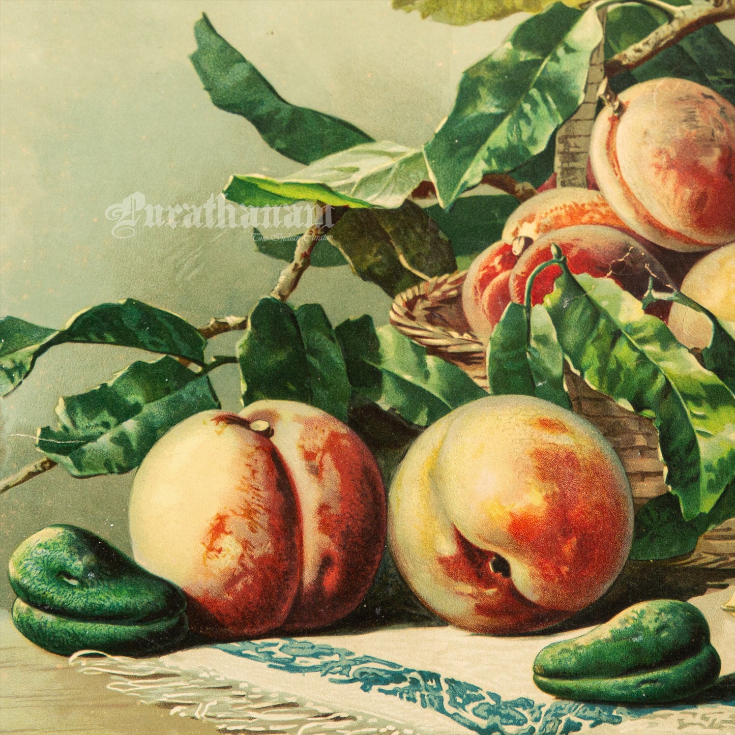 Bowl of Peaches by Francesca Alexander - Chromolithograph Print