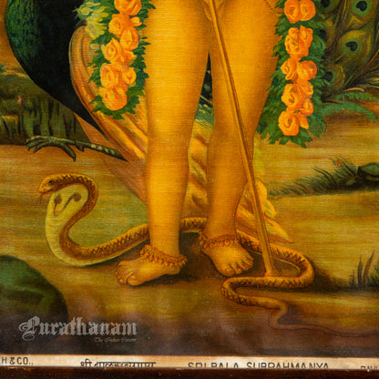 Sri Bala Subramanya - Oleograph Print - Enbellished
