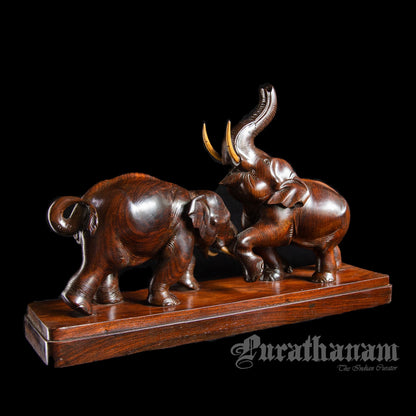 Elephants - Rose wood
