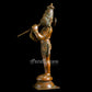 Hanuman   - Brass