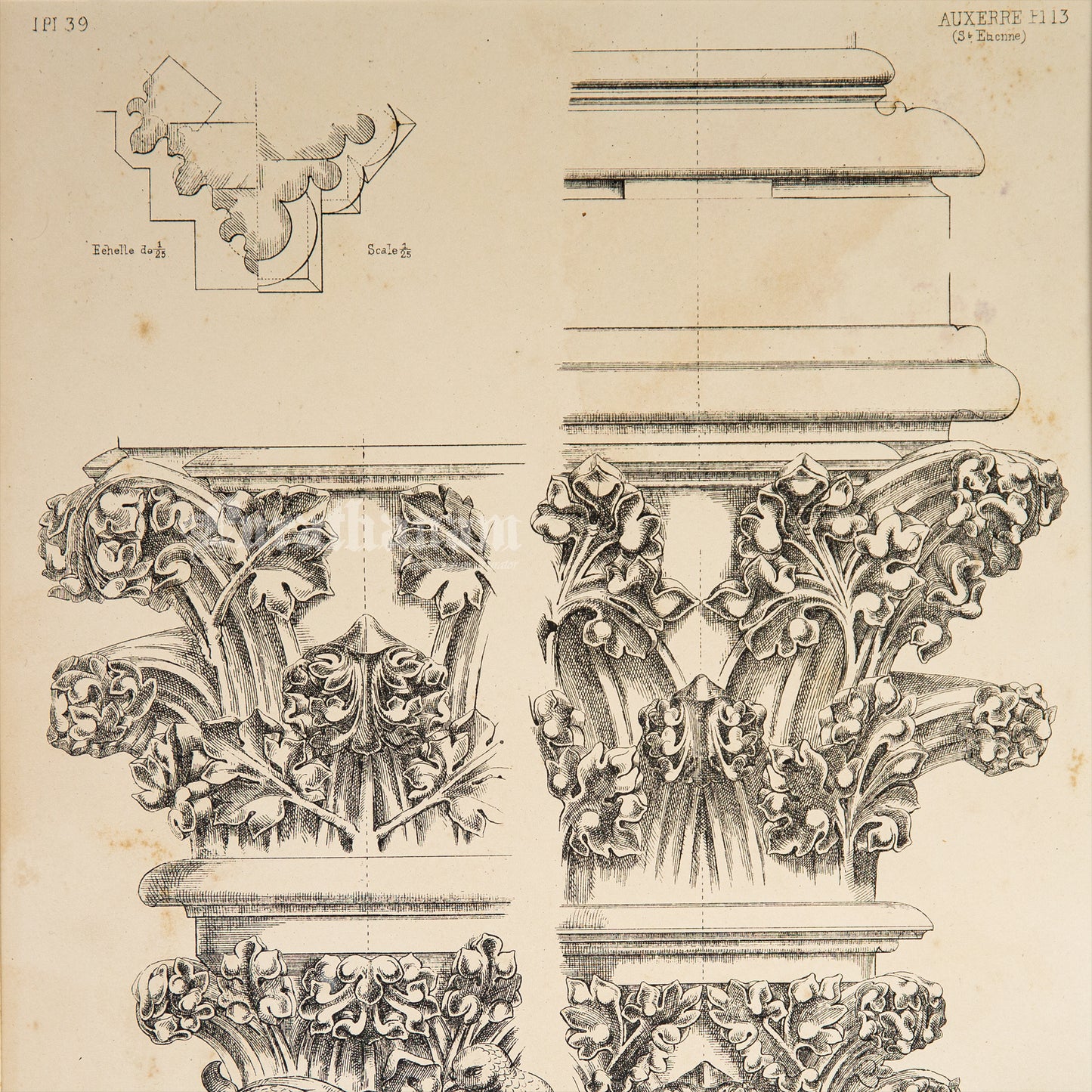 Medieval Architecture & Art-Auxerre - Plate 13 (Capitals of arcading Lady Chapel and Choir Aisle) -Steel Engraving