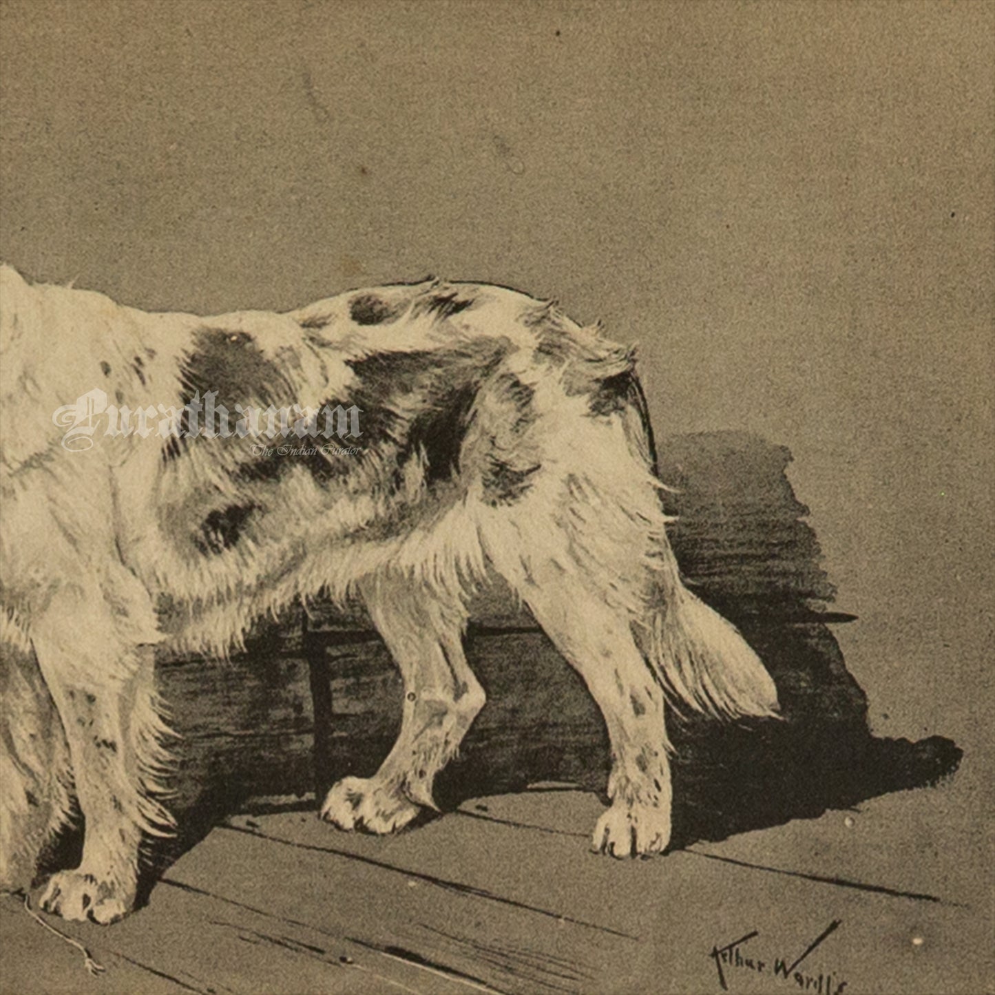 The Watchful Dog (Wildlife Art)- Photogravure Print