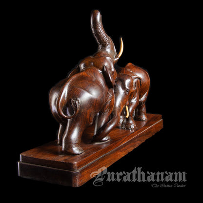Elephants - Rose wood