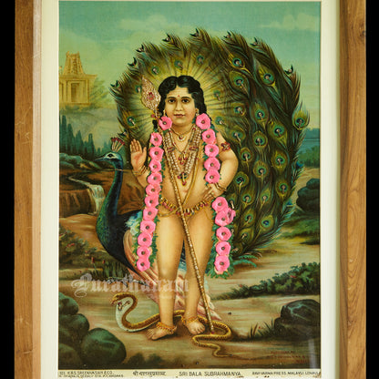 Sri Bala Subrahmanya - Oleograph Print - Embellished