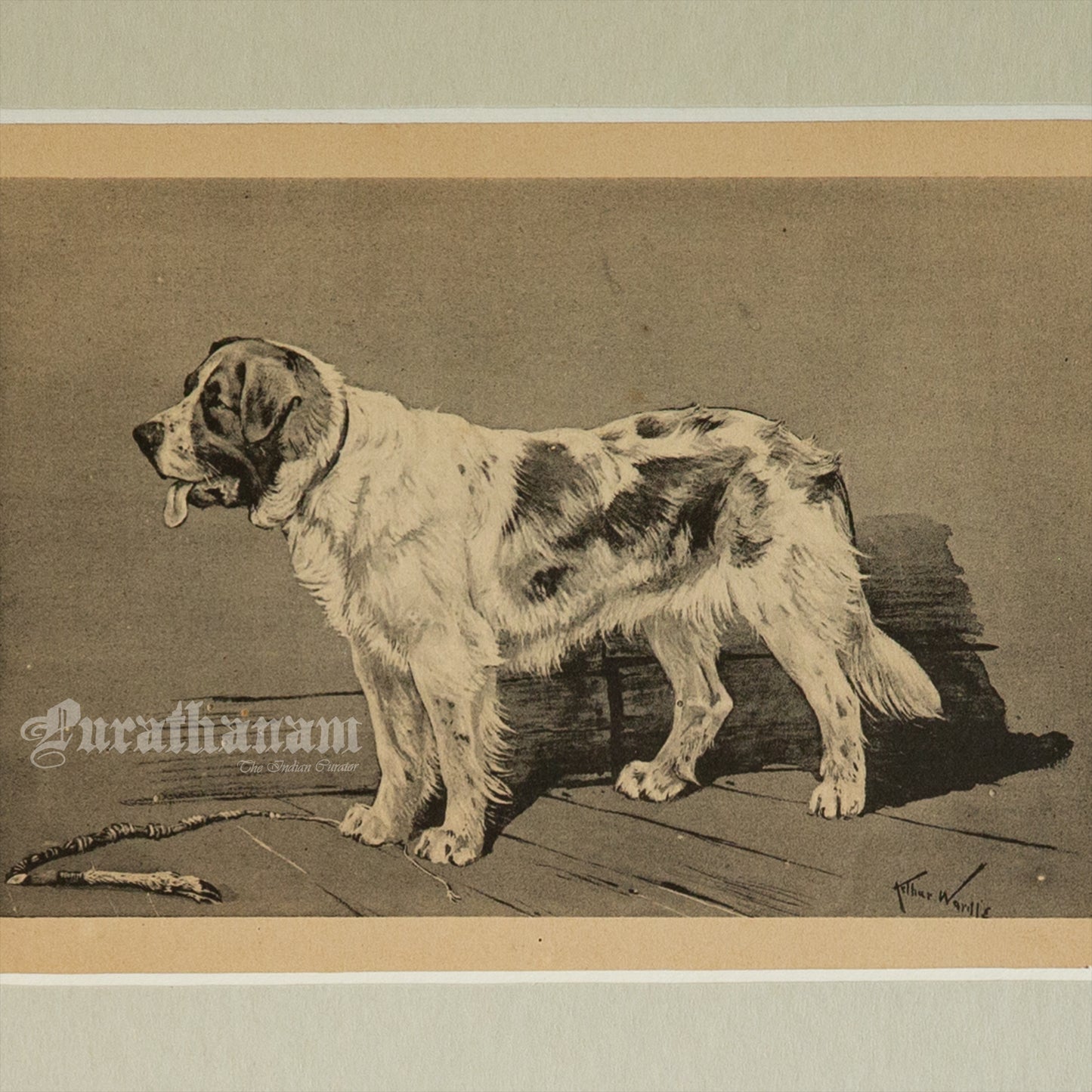 The Watchful Dog (Wildlife Art)- Photogravure Print