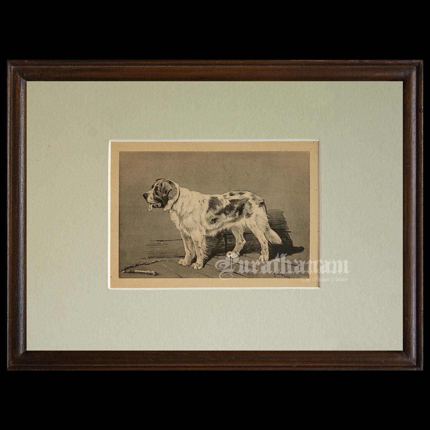 The Watchful Dog (Wildlife Art)- Photogravure Print