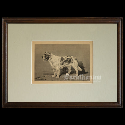 The Watchful Dog (Wildlife Art)- Photogravure Print