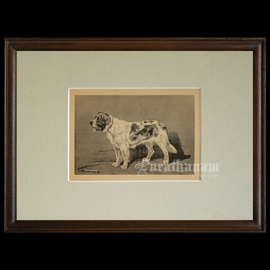 The Watchful Dog (Wildlife Art)- Photogravure Print