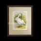 Bird - Chromo lithograph print (Plate - LI) by Theodore Jasper -  Bird Art / Avian Art