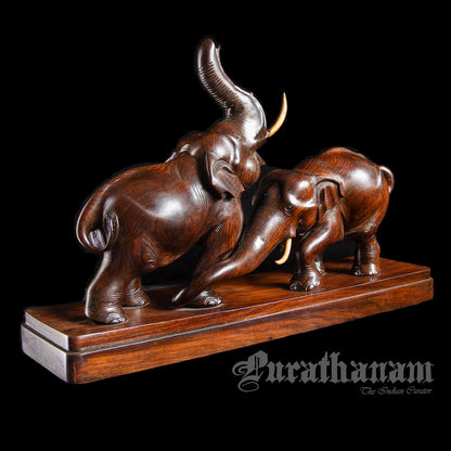 Elephants - Rose wood