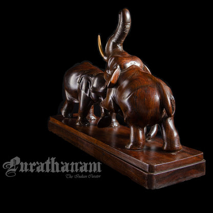 Elephants - Rose wood
