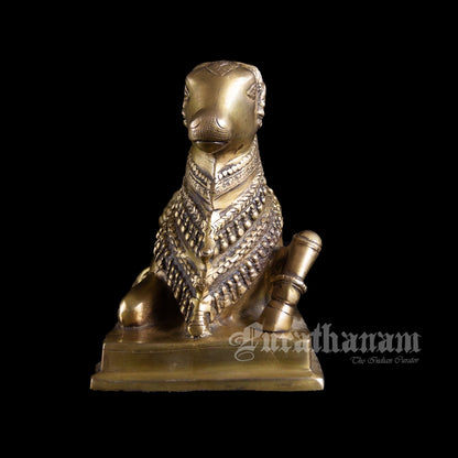 Nandhi  - Brass
