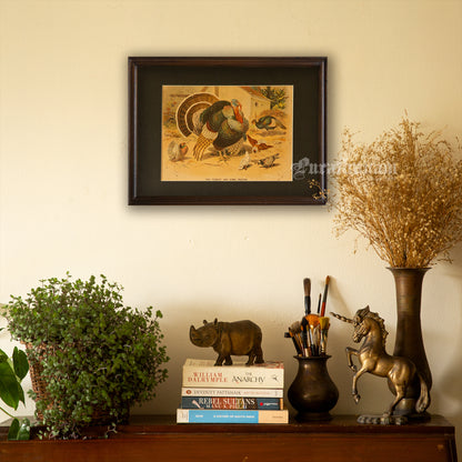 The Turkey and some Pigeons - Bird Art / Avian Art - Chromolithograph Print