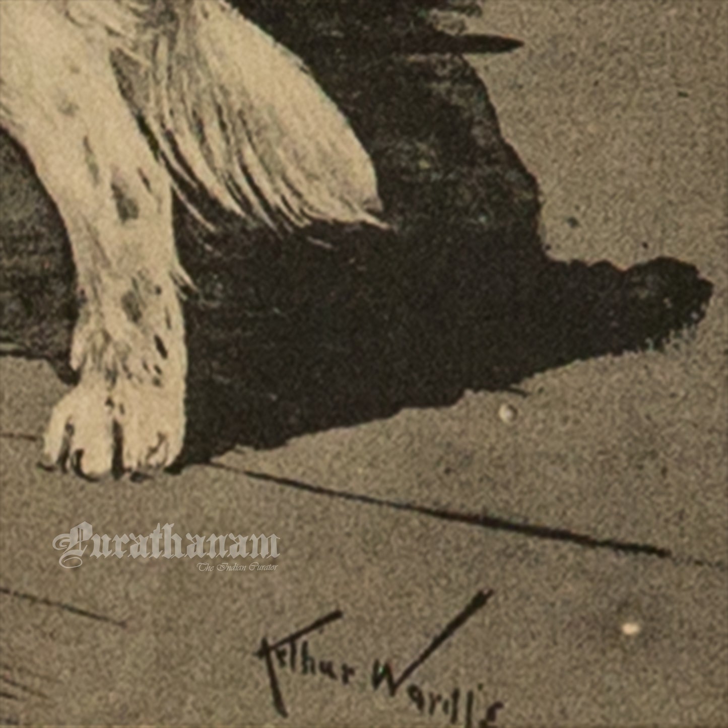 The Watchful Dog (Wildlife Art)- Photogravure Print
