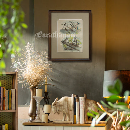 Bird - Chromo lithograph print (Plate - I ) by Theodore Jasper -  Bird Art / Avian Art