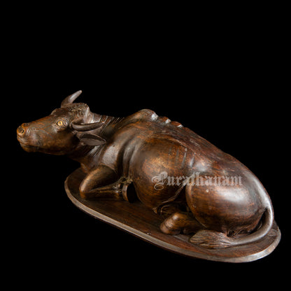 Seated  Buffalo - Rose wood Sculpture