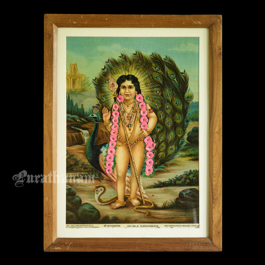 Sri Bala Subrahmanya - Oleograph Print - Embellished