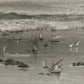 Alexandria -Steel Engraving