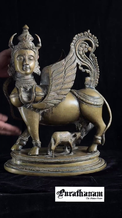Kamadhenu  - Brass