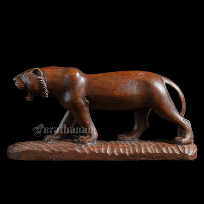 Lioness  - Rose wood