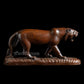 Lioness  - Rose wood