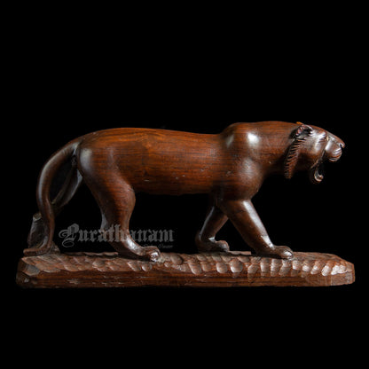 Lioness  - Rose wood