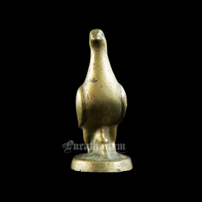 Dove Paper Weight - Brass