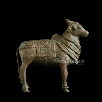 Nandhi - Brass