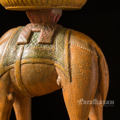 Camel Stand