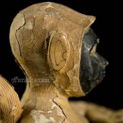 Seated female White Monkey