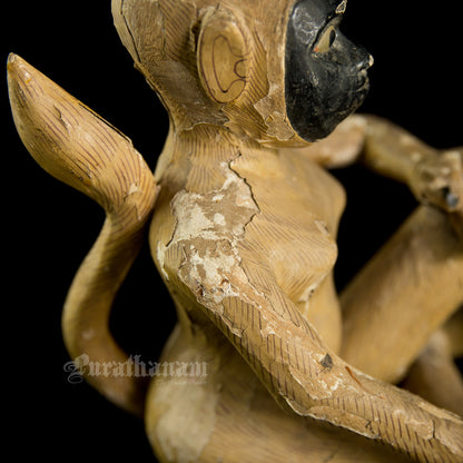 Seated female White Monkey