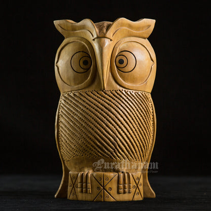Owl - Kadambam wood