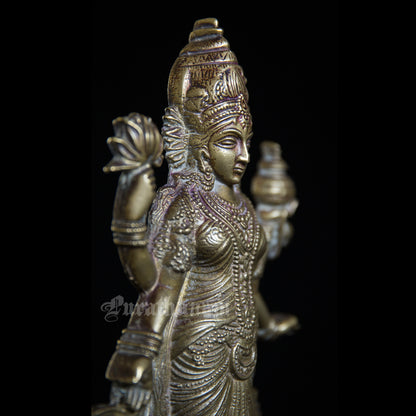 Lakshmi - Brass
