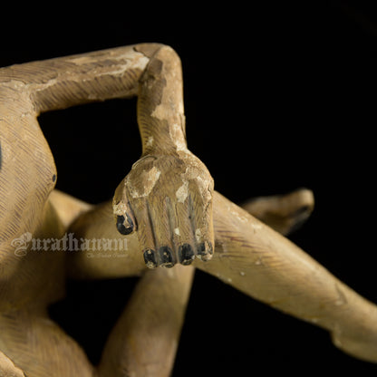 Seated female White Monkey