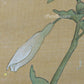 Butterfly - Japanese  art (shui-mo)