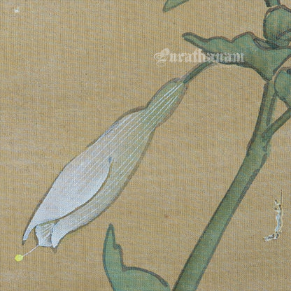 Butterfly - Japanese  art (shui-mo)