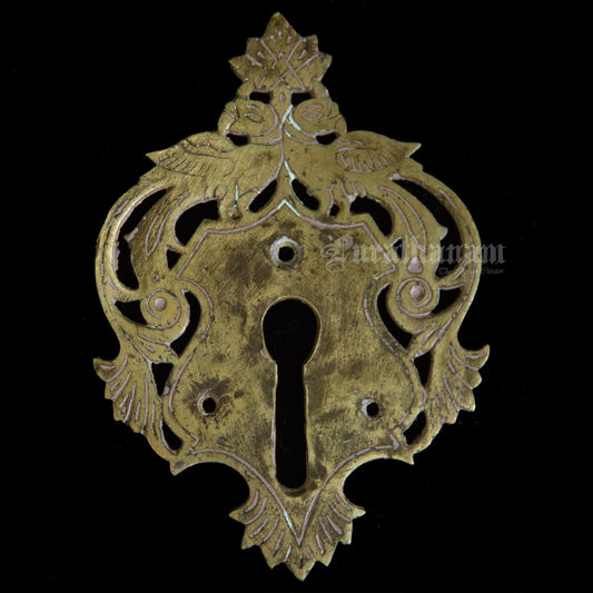 Brass Parrot Door Key Hole